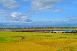 The railway sector is to receive substantial infrastructure development and change its business model. (Photo: VietnamPlus)