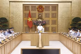 Deputy PM Le Thanh Long speaks at the first meeting of the National Council for Sustainable Development on September 25. (Photo: VNA)