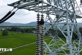 The entire Circuit-3 500kV power transmission line project is scheduled to become operational before September 2. (Photo: VNA)