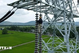 The entire Circuit-3 500kV power transmission line project is scheduled to become operational before September 2. (Photo: VNA)