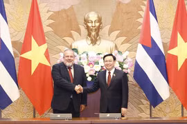 Vietnam, Cuba seek to deepen special friendship