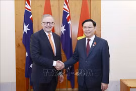 Vietnam, Australia eye comprehensive strategic partnership after 50 years of relations