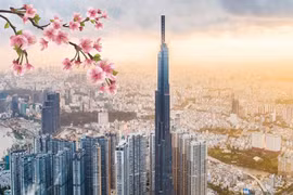 Vietnam striving to become developed, high-income country by 2050