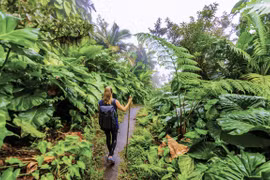 E-visa extension just a condition for Vietnam tourism’ breakthrough