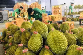 Veggie, fruit exports to China enjoy double-digit growth rate