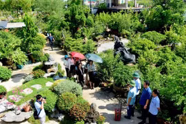 Hanoi moves to tap riverside agri-tourism potential