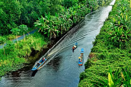 Eco-tourism site project in Ca Mau's U Minh Ha National Park approved
