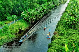 Eco-tourism site project in Ca Mau's U Minh Ha National Park approved