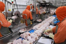 Exporters pin hope on traditional Vietnamese food