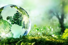 Hanoi to make clear administrative procedures in environment area