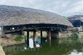 Impressive 700-year-old wooden bridge roofed with leaves