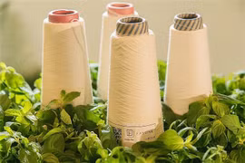 Garment sector must go green to ensure sustainable development