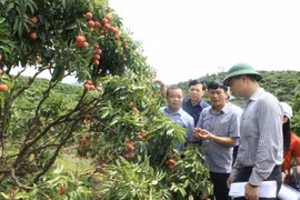 Bac Giang launches science-technology projects to serve socio-economic development