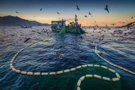 Removing IUU yellow card - opportunity Vietnam should not miss