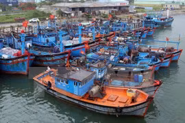 Quang Ngai working to lift EC’s “yellow card” on illegal fishing