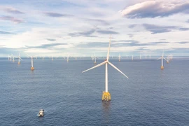 Offshore wind power provides Vietnam with dual opportunity: Danish Ambassador