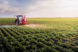 Green economy helps Mekong Delta increase competitiveness of farm produce