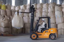Thanh Hoa promotes rice brands for export