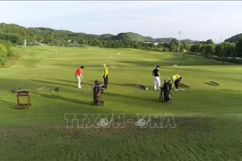 Ninh Binh taps sports tourism potential