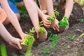 Joint efforts made to plant 1 billion trees by 2025