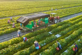 Green, circular agricultural production boosts exports