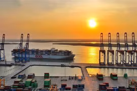 Ba Ria-Vung Tau sees breakthrough opportunities with model of seaport-linked free trade zone
