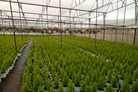 Agribank invests in hi-tech agriculture