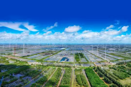 Efforts needed to promote circular agriculture in Vietnam