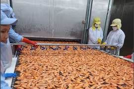 UOB revises 2023 growth forecast down to 5% for Vietnam 