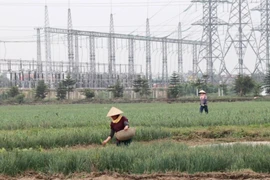 Financial policy crucial to guiding green economy development