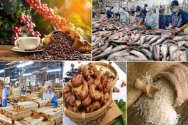 Agro-forestry-fishery exports hit 6.28 billion USD in January-February