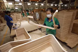Plenty of room for wood, furniture industry to boom: Experts 