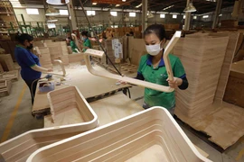 Plenty of room for wood, furniture industry to boom: Experts 