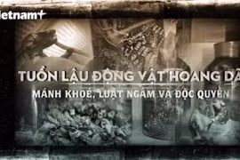 International organisation urges Vietnam to combat wildlife trafficking