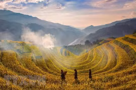 Exploring terraced rice fields in Yen Bai province