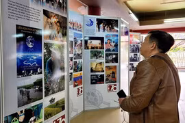 Promoting Vietnamese culture and identity through cinema