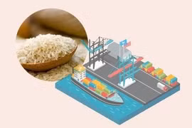 Vietnam gains 2.3 billion USD from rice exports in H1