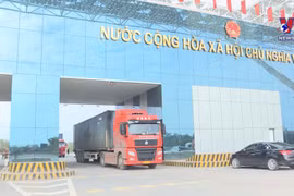Border trade vibrant again in Quang Ninh province