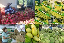 Diversification drives growth in Vietnam’s agricultural exports: HSBC