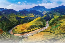 Foreign tourists to Vietnam surge 3.8-fold in 11 months of 2023