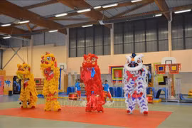 Vietnam promotes lion-dragon dance to the world
