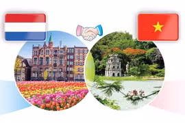 Vietnam, Netherlands enjoy stronger partnership
