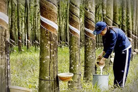 Rubber export revenue at 1.89 billion USD