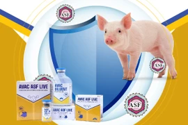 Made-in-Vietnam African swine fever vaccines exported to five countries