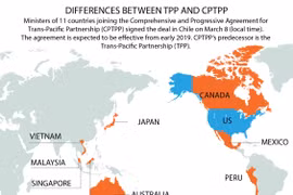 Differences between TPP and CPTPP