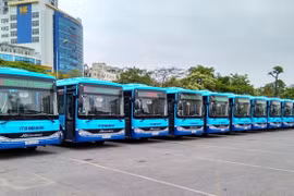 Tourism and transport development needs common voice