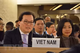 Vietnam will work harder to ensure human rights: ambassador 