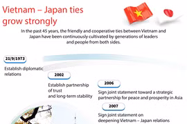 Vietnam - Japan ties grow strongly
