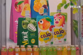 Vietnam strives to boost export to Russia
