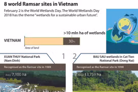 Eight world Ramsar sites in Vietnam